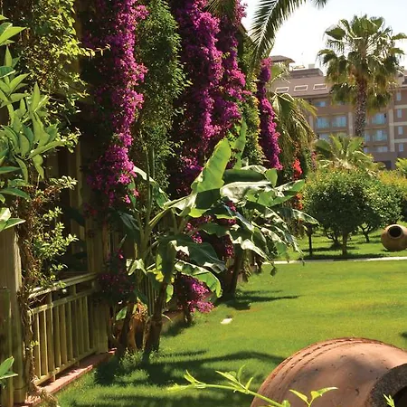 Resort Paloma Oceana