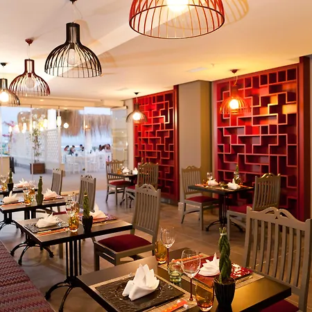 Paloma Oceana Сиде