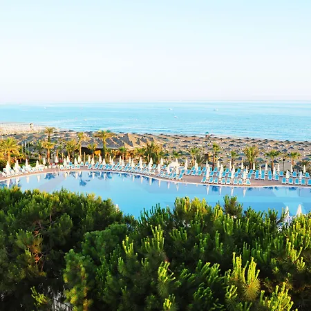 度假村 Paloma Oceana