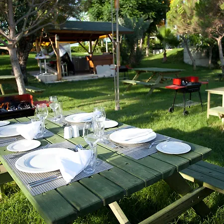 Resort Paloma Oceana 5*